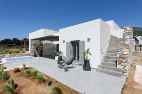 3bedroom Cycladic Villa Malina with pool in Paros